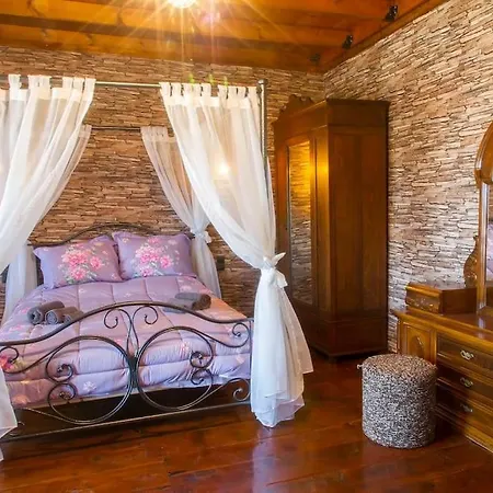 Evdokia Rhodes A Prázdninový dům